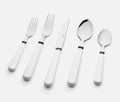 Provence 20-Piece Flatware Set with Caddy in Snow White - lollygag