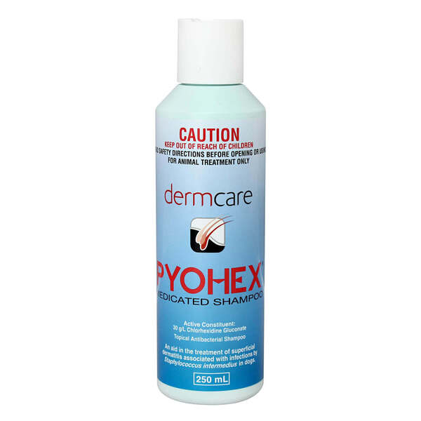 Pyohex Medicated Foam 250ml-Habitat Pet Supplies