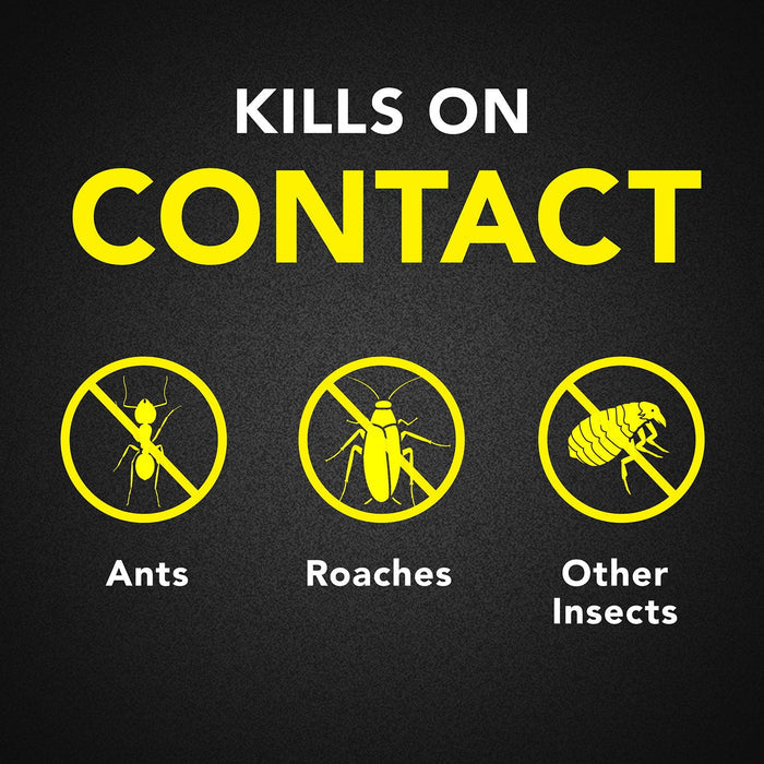 Raid Ant & Roach Aerosol, 2 Pack with Bait Trap