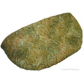Reptile One Dyno Rock Climbing Ledge Small-Habitat Pet Supplies
