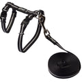 Rogz AlleyCat Extra Small Cat Harness Black-Habitat Pet Supplies