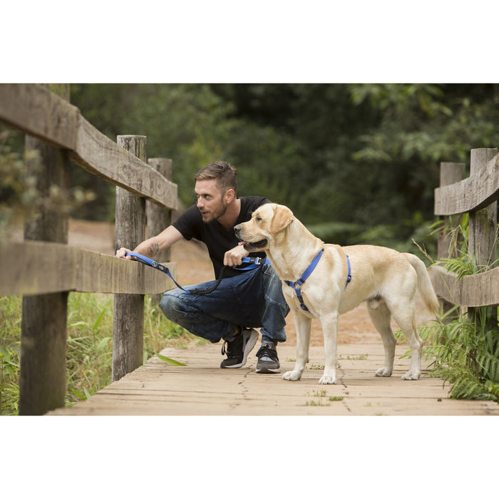 ROGZ LUMBERJACK CONTROL LONG LEAD BLUE - Habitat Pet Supplies Altona & Chirnside Park