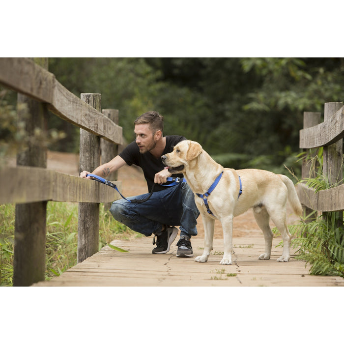 ROGZ SNAKE CONTROL LEAD BLUE - Habitat Pet Supplies Altona & Chirnside Park