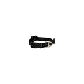 Rogz Classic Extra Small Dog Collar Black-Habitat Pet Supplies