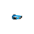 Rogz Classic Extra Small Dog Collar Turquoise-Habitat Pet Supplies