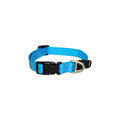 Rogz Classic Medium Dog Collar Turquoise-Habitat Pet Supplies