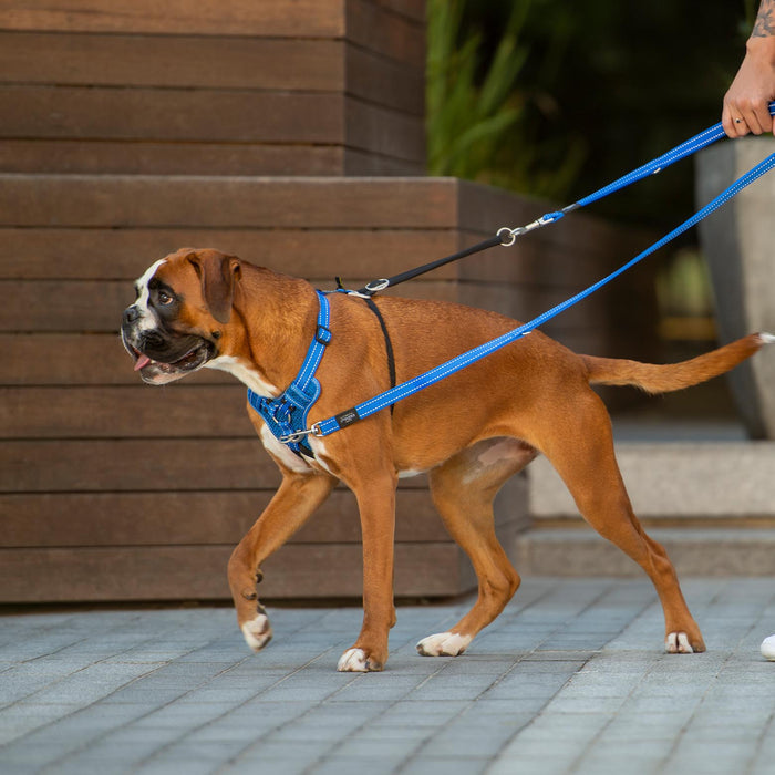 Rogz Control Stop Pull Dog Harness Black Medium