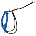 Rogz Control Stop Pull Dog Harness Blue Extra Large-Habitat Pet Supplies