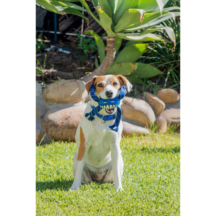 ROGZ FLOSSY GRINZ LIME SMALL - Habitat Pet Supplies Altona & Chirnside Park