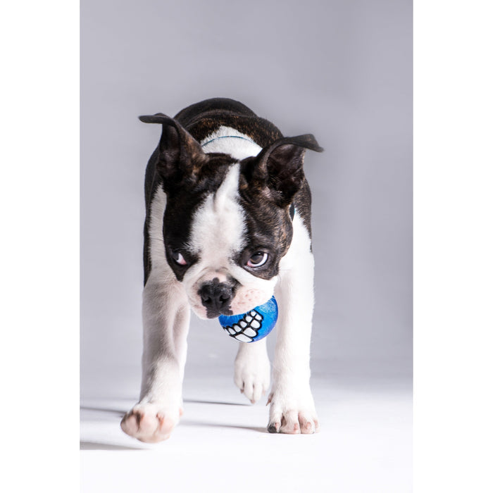 ROGZ GRINZ BALL BLUE MEDIUM - Habitat Pet Supplies Altona & Chirnside Park