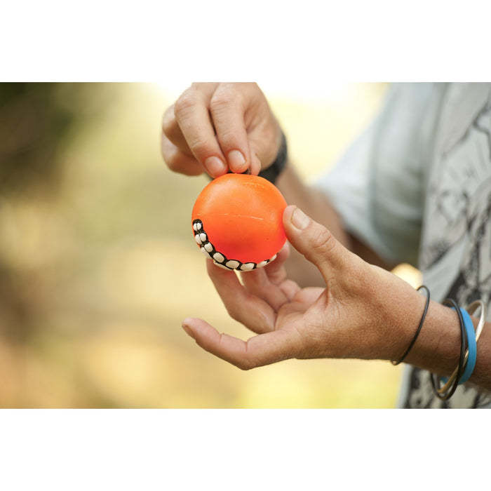 ROGZ GRINZ BALL BLUE MEDIUM - Habitat Pet Supplies Altona & Chirnside Park