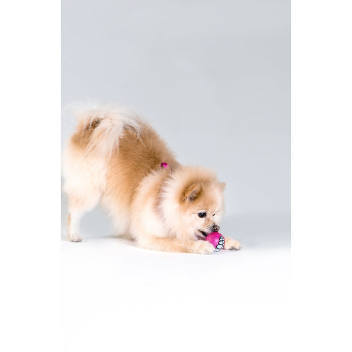 ROGZ GRINZ BALL PINK SMALL - Habitat Pet Supplies Altona & Chirnside Park