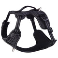 Rogz Specialty Explore Dog Harness Black Large-Habitat Pet Supplies