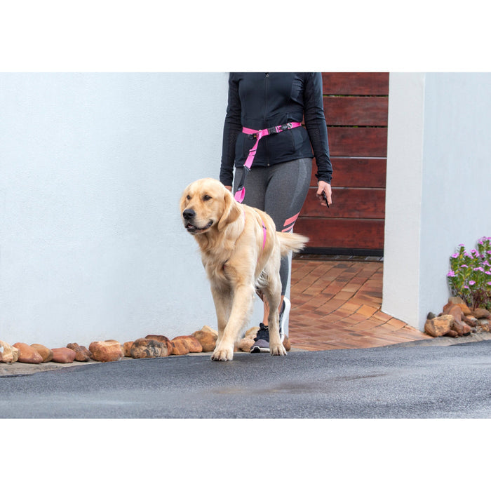 Rogz Specialty Handsfree Large Dog Lead Pink