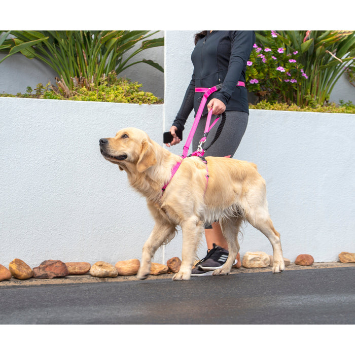 Rogz Specialty Handsfree Large Dog Lead Pink