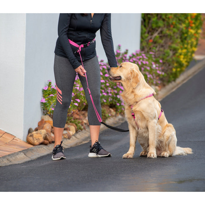 Rogz Specialty Handsfree Large Dog Lead Pink