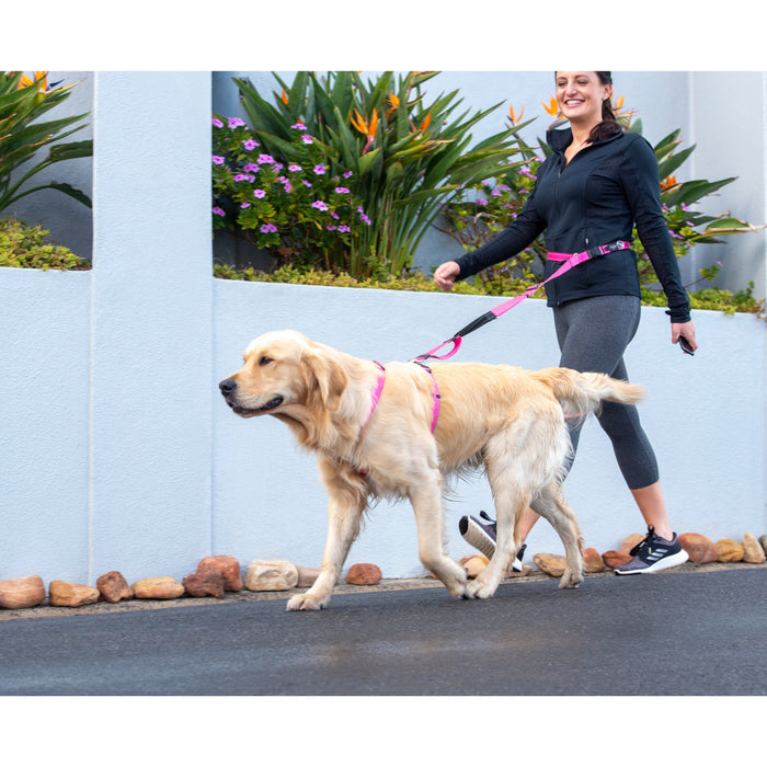 Rogz Specialty Handsfree Medium Dog Lead Pink