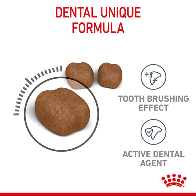 Royal Canin Cat Dental Care Adult Dry Food 3.5kg