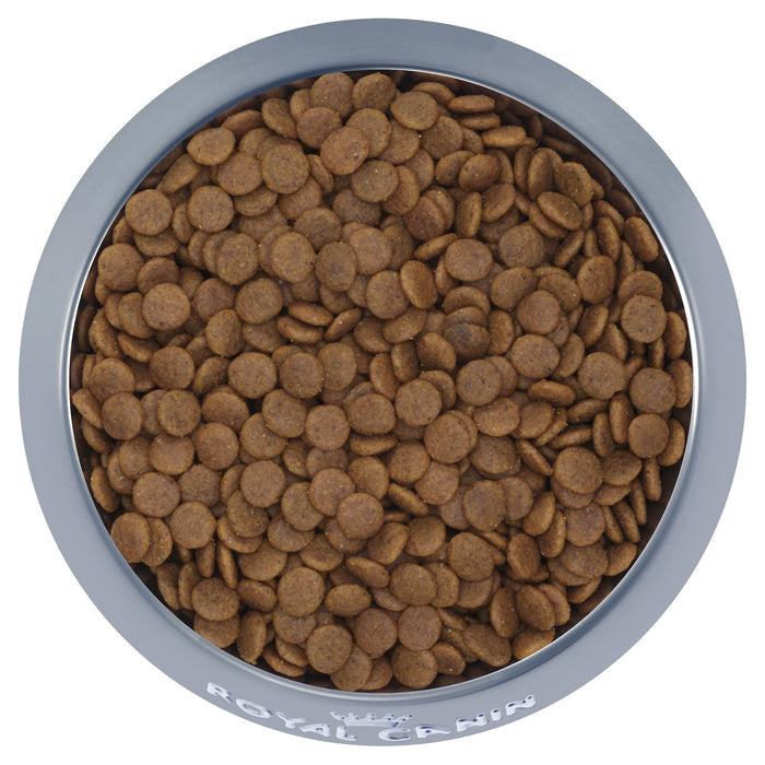 Royal Canin Dog Medium Puppy Dry Food 4kg