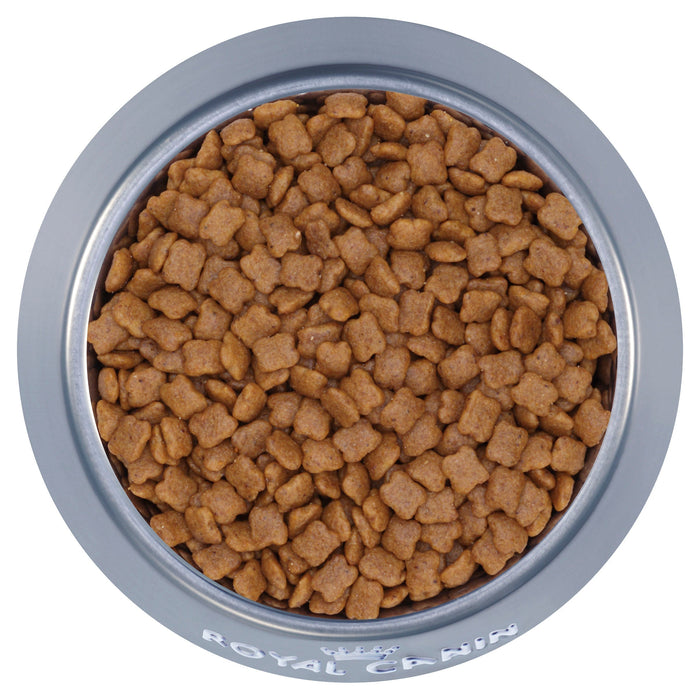 Royal Canin Kitten Dry Food 2kg