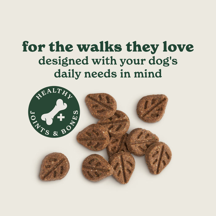 Salmon Oil Treats (1x300g)