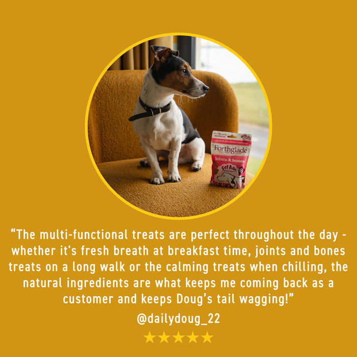 Salmon Oil Treats (1x300g)
