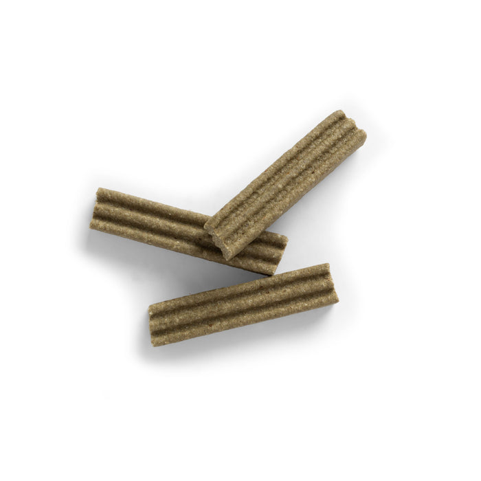 SavourLife Australian Natural Dental Bars Medium to Large Dog Treats