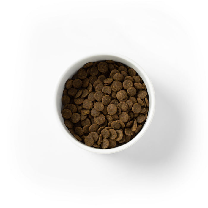 SavourLife Grain Free Dry Dog Food Kangaroo and Chicken 2.5kg
