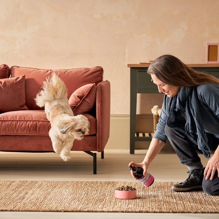 Scottish Salmon Oil for Dogs