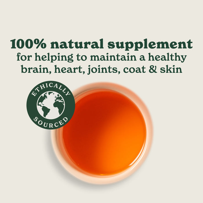 Scottish Salmon Oil for Dogs