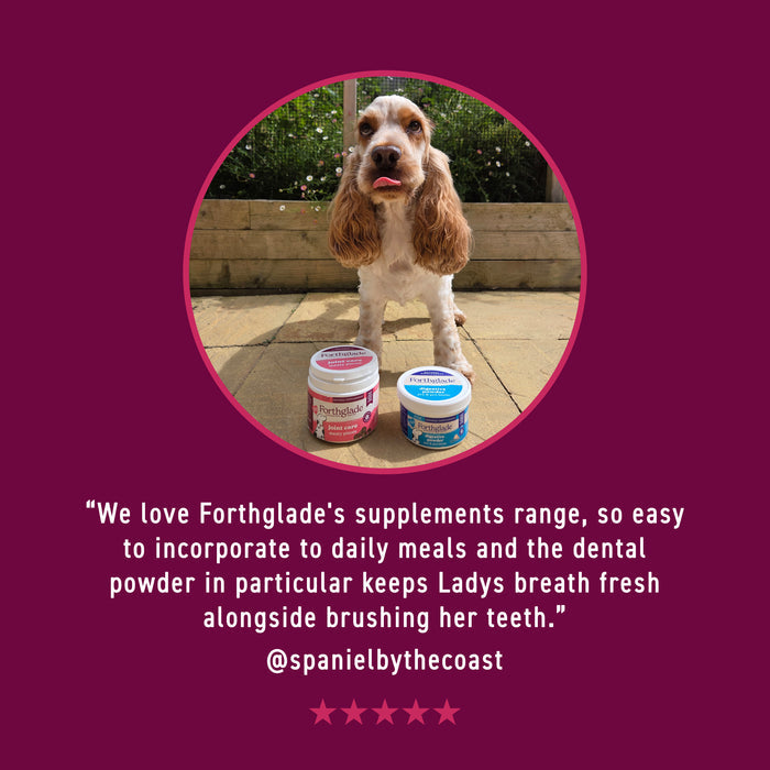 Scottish Salmon Oil for Dogs