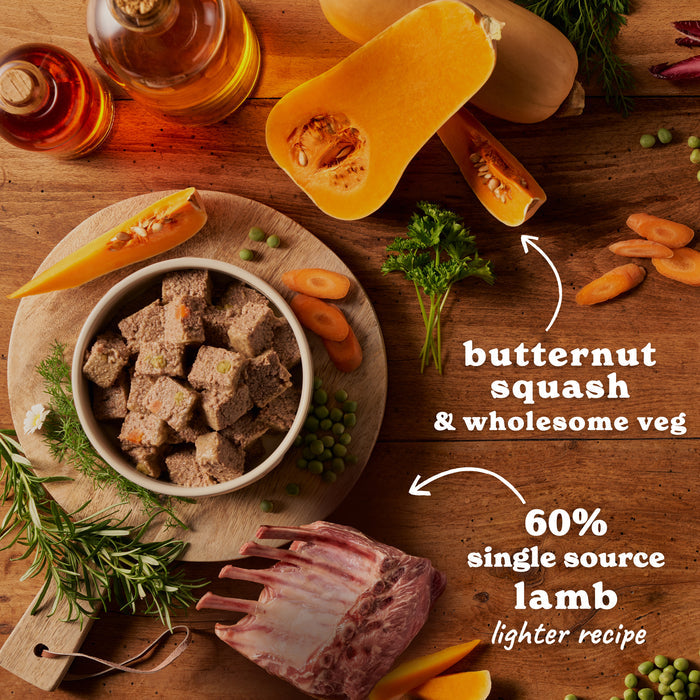 Senior Lamb & Butternut Squash Wet Dog Food