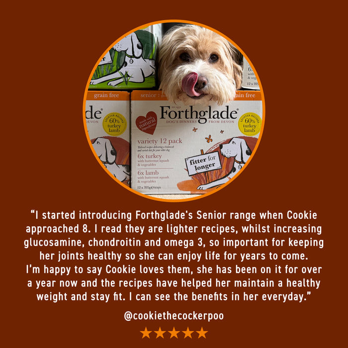 Senior Turkey & Butternut Squash Wet Dog Food