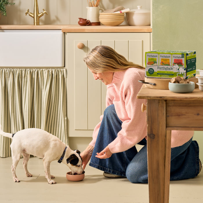 Small Portion Variety Pack – Chicken, Turkey & Lamb Wet Meals