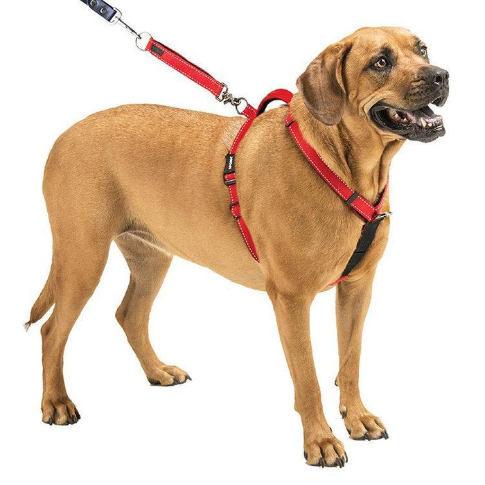 Sporn Ultimate Control Harness Black Medium*-Habitat Pet Supplies