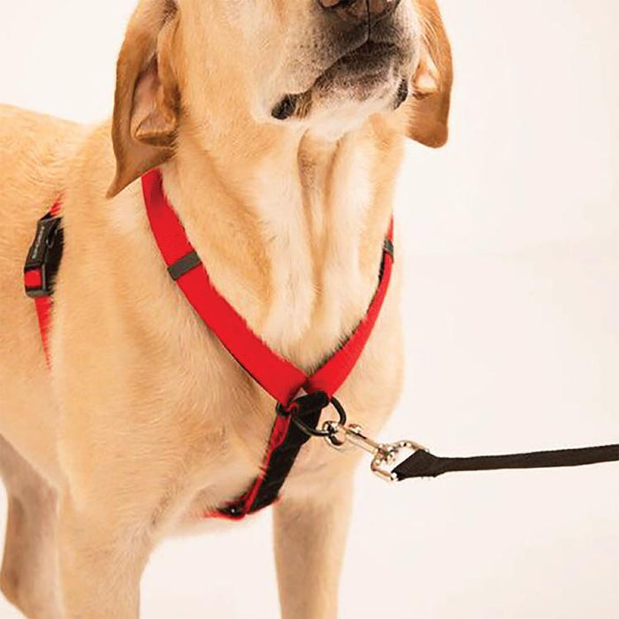 SPORN ULTIMATE CONTROL HARNESS MEDIUM - Habitat Pet Supplies Altona & Chirnside Park