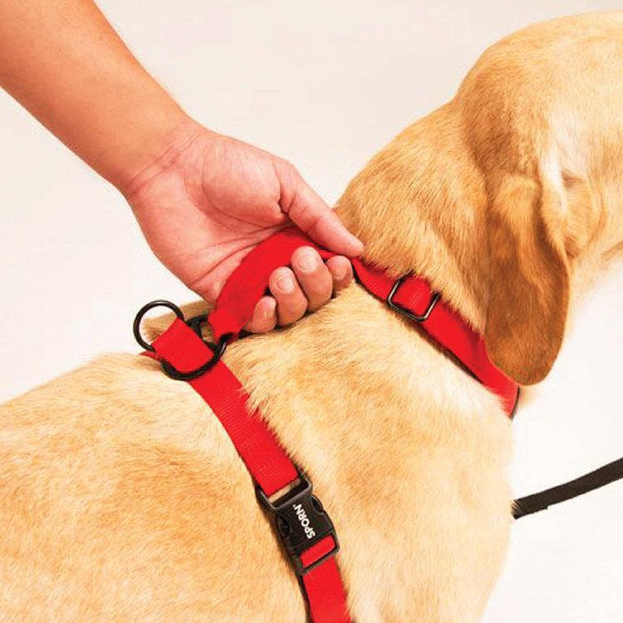 SPORN ULTIMATE CONTROL HARNESS MEDIUM - Habitat Pet Supplies Altona & Chirnside Park