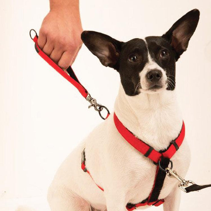 SPORN ULTIMATE CONTROL HARNESS MEDIUM - Habitat Pet Supplies Altona & Chirnside Park