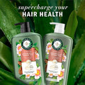Sulfate-Free Shampoo in Kenya - Herbal Essences Argan Oil and Aloe, 2 Pack