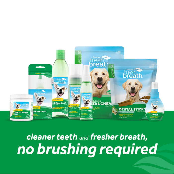 Tropiclean Fresh Breath Instant Fresh Foam 133ml