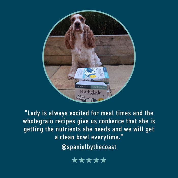 Turkey & Brown Rice Wet Dog Food