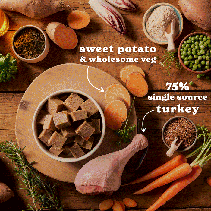 Turkey, Duck & Lamb Wet Dog Food Variety Pack