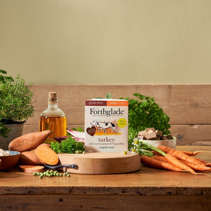 Turkey & Sweet Potato Wet Dog Food