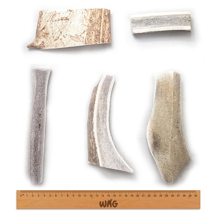 WAG ANTLER SPLIT SMALL - Habitat Pet Supplies Altona & Chirnside Park