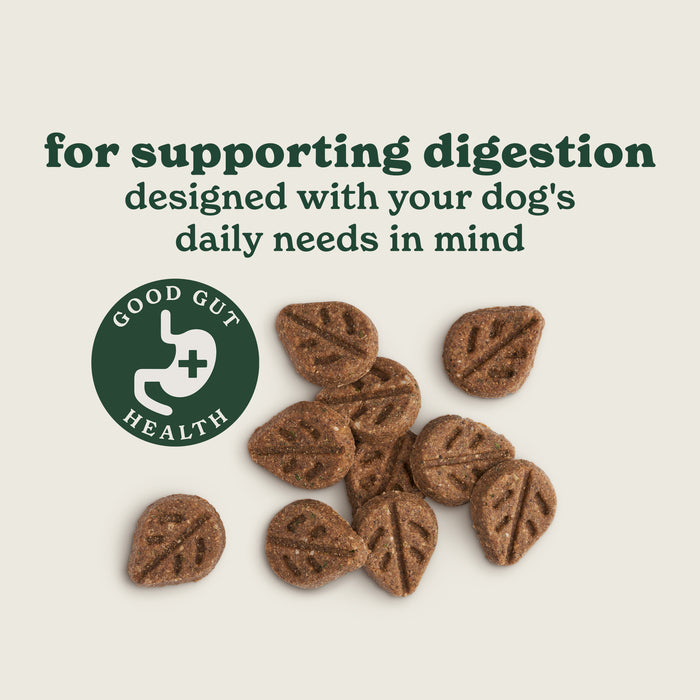 Wellbeing Essentials Dog Treats & Supplements Bundle