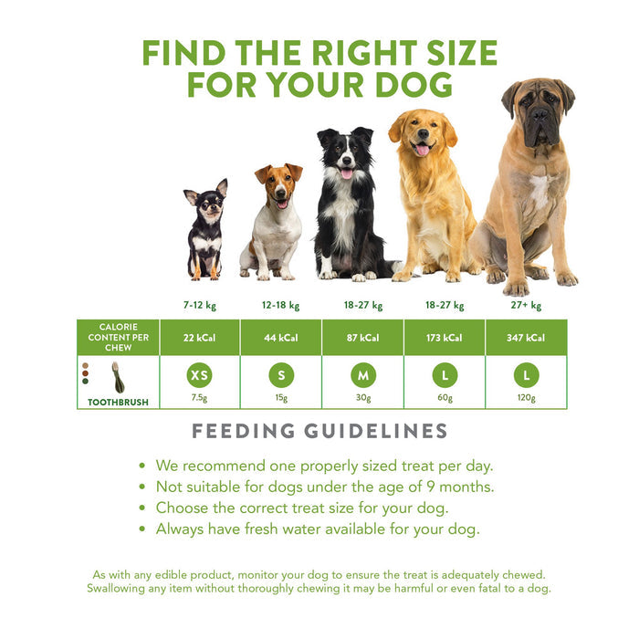 Whimzees Toothbrush Dental Dog Treats Medium 12 Pack