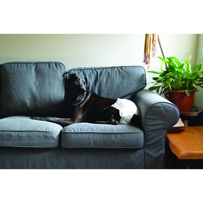 ZeeZ Disposable Dog Diaper Small 12 Pack