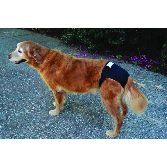 ZeeZ Washable Dog Diaper Medium
