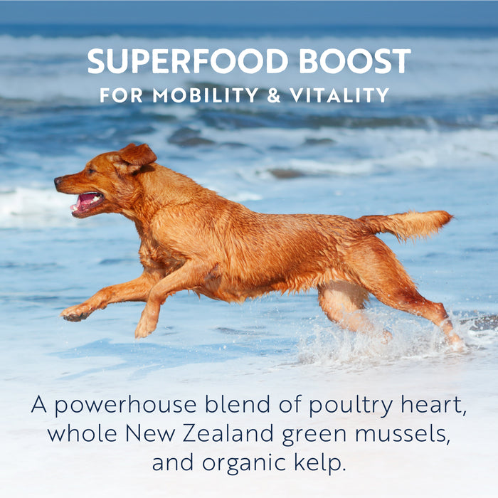 ZIWI Peak Wet Chicken Recipe Dog Food 390g x 12